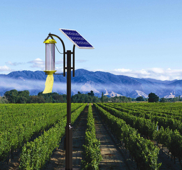 貴陽太陽能路燈.jpg 貴陽太陽能路燈.jpg